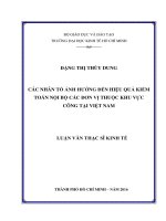 Các nhân tố ảnh hưởng đến hiệu quả kiểm toán nội bộ các đơn vị thuộc khu vực công tại Việt Nam