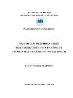 Một số giải pháp hoàn thiện hoạt động chiêu thị của Công ty cổ phần đầu tư Lê Bảo Minh tại TPHCM