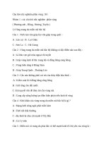 câu hỏi trắc nghiệm vùng kinh tế địa  lí lớp 9