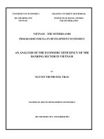 An analysis of the economic efficiency of the banking sector in Vietnam