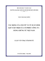 TÁC ĐỘNG CỦA CEO NỮ VÀ TỶ SUẤT SINH LỢI VƯỢT TRỘI CỦA CỔ PHIẾU CÔNG TY – BẰNG CHỨNG TỪ VIỆT NAM