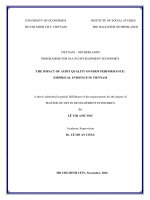THE IMPACT OF AUDIT QUALITY ON FIRM PERFORMANCE: EMPIRICAL EVIDENCE IN VIETNAM