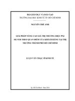 Giải pháp nâng cao giá trị thương hiệu PNJ Silver theo quan điểm của khách hàng tại thị trường Thành Phố Hồ Chí Minh