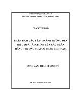 PHÂN TÍCH CÁC YẾU TỐ ẢNH HƢỞNG ĐẾN HIỆU QUẢ TÀI CHÍNH CỦA CÁC NGÂN HÀNG THƢƠNG MẠI CỔ PHẦN VIỆT NAM