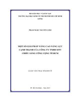 Một số giải pháp nâng cao năng lực cạnh tranh của Công ty TNHH MTV Chiếu sáng công cộng thành phố Hồ Chí Minh