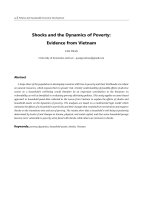 Shocks and the dynamics of poverty: evidence from Vietnam
