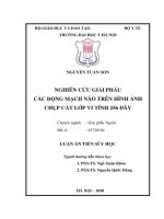 Nghiên cứu giải phẫu các động mạch não trên hình ảnh chụp cắt lớp vi tính 256 dãy (FULL TEXT)