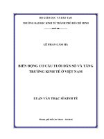 Biến động cơ cấu tuổi dân số và tăng trưởng kinh tế ở Việt Nam