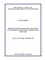 Mối quan hệ đa dạng hóa thu nhập và lợi nhuận Ngân hàng thương mại Việt Nam
