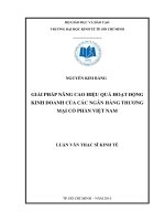 GIẢI PHÁP NÂNG CAO HIỆU QUẢ HOẠT ĐỘNG  KINH DOANH CỦA CÁC NGÂN HÀNG THƯƠNG MẠI CỔ PHẦN VIỆT NAM