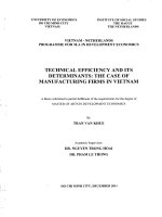 Technical efficiency and its determinants : The case of manufacturing firms in VietNam