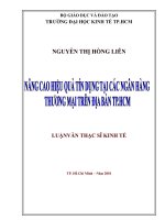 Nâng cao hiệu quả tín dụng tại các Ngân hàng Thương Mại trên địa bàn Tp. HCM
