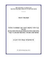 Nâng cao hiệu quả huy động vốn tại Ngân hàng thương mại cổ phần Công thương Việt Nam chi nhánh 1 thành phố Hồ Chí Minh