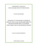 Ảnh hưởng của thương hiệu xanh đối với ý định mua hàng xanh: Trường hợp nghiên cứu đối với người tiêu dùng các sản phẩm nông nghiệp xanh tại Thành phố Hồ Chí Minh