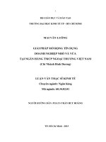 Giải pháp mở rộng tín dụng doanh nghiệp nhỏ và vừa tại ngân hàng TMCP ngoại thương Việt Nam