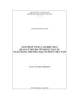Giải pháp nâng cao hiệu quả quản lý rủi ro tín dụng tại các Ngân hàng thương mại cổ phần Việt Nam