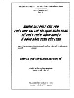 Những Giải Pháp Chủ Yếu Phát Huy Vai Trò Tín Dụng Ngân Hàng Để Phát huy vai trò tín dụng ngân hàng để phát triển nông nghiệp ở đồng bằng sông Cửu Long