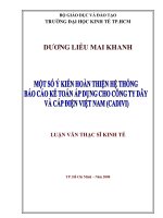 Một số Ý Kiến Hoàn Thiện Hệ Thống Báo Cáo Kế Toán Áp Dụng Cho Công Ty Dây và cáp điện Việt Nam (CADIVI)