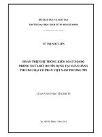 Hoàn thiện hệ thống kiểm soát nội bộ phòng ngừa rủi ro tín dụng tại Ngân hàng Thương mại Cổ phần Việt Nam Thương Tín