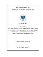 Tác động phong cách lãnh đạo phụng sự đến hành vi đổi mới của người lao động: trường hợp nghiên cứu người lao động trong khu vực công huyện Giồng Riềng, tỉnh Kiên Giang