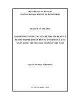 Ảnh hưởng tương tác của rủi ro tín dụng và rủi ro thanh khoản đến sự ổn định của các ngân hàng thương mại cổ phần Việt Nam
