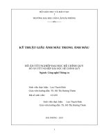 KỸ THUẬT GIẤU ẢNH MÀU TRONG ẢNH MÀU