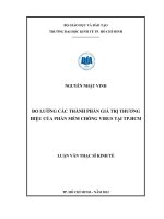 Đo lường các thành phần giá trị thương hiệu của phần mềm chống virus tại thành phố Hồ Chí Minh