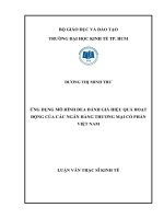 Ứng dụng mô hình DEA - Đánh Giá hiệu quả hoạt động của các ngân hàng thương mại cổ phần Việt Nam
