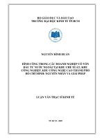 Đình công trong các doanh nghiệp có vốn đầu tư nước ngoài tại khu chế xuất, khu công nghiệp, khu công nghệ cao TPHCM : Nguyên nhân và giải pháp