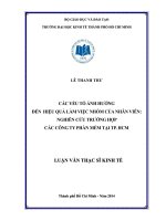 Các yếu tố ảnh hưởng đến hiệu quả làm việc nhóm của nhân viên: Nghiên cứu trường hợp các công ty phần mềm tại TP.HCM