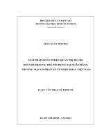 Giải pháp hoàn thiện quản trị rủi ro đối với dịch vụ thẻ tín dụng tại Ngân hàng Thương mại Cổ phần xuất nhập khẩu Việt Nam