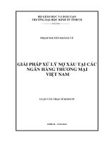 Giải pháp xử lý nợ xấu tại Ngân hàng Thương mại Việt Nam