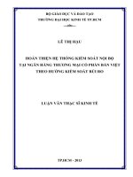 Hoàn thiện hệ thống kiểm soát nội bộ tại Ngân hàng thương mại cổ phần Bản Việt theo hướng kiểm soát rủi ro