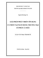 Giải pháp phát triển tín dụng cá nhân tại Ngân hàng thương mại cổ phần Á Châu