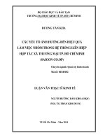 Các yếu tố ảnh hưởng đến hiệu quả làm việc nhóm trong hệ thống liên hiệp hợp tác xã thương mại Tp. Hồ Chí Minh