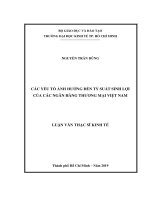 Các yếu tố ảnh hưởng đến tỷ suất sinh lợi của các ngân hàng thương mại Việt Nam