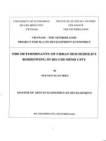 The determinants of urban hosehold''''''''s borrowing in Ho Chi Minh city