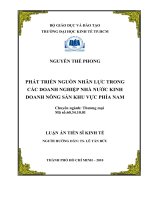 Phát triển nguồn nhân lực trong các doanh nghiệp nhà nước kinh doanh nông sản khu vực phía Nam : Luận án tiến sĩ