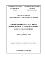 Effects of corruption on economic growth through transmission channels in developing coutries
