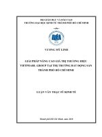 Giải pháp nâng cao giá trị thương hiệu Vietpearl Group tại thị trường bất động sản Thành phố Hồ Chí Minh