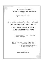 Ảnh hưởng của các yếu tố tâm lý đến hiệu quả của nhà đầu tư cá nhân trên thị trường chứng khoán Việt Nam