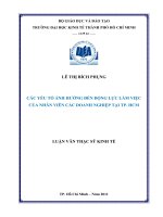 Các yếu tố ảnh hưởng đến động lực làm việc của nhân viên các doanh nghiệp tại thành phố Hồ Chí Minh : Luận văn thạc sĩ