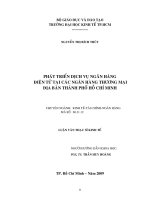 Phát triển dịch vụ ngân hàng điện tử tại các ngân hàng thương mại địa bàn thành phố Hồ Chí Minh