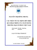Các nhân tố tác động đến hiệu quả hoạt động của Ngân hàng Thương mại Cổ phần Việt Nam