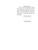 luận án tiến sĩ quản lý hoạt động thực hành sư phạm của học viên ở các trường sĩ quan quân đội theo định hướng phát triển năng lực 