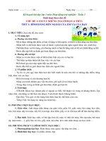 Giáo án hoạt động trải nghiệm sinh hoạt chủ đề chân trời sáng tạo