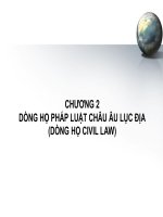 Slide bài giảng chương 2 Dòng họ Civil law