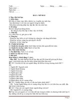 Giao an sinh hoc 8 theo dinh huong phat trien nang luc 