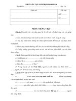 Phiếu bài tập ôn tập toán tiếng việt lớp 5 nghỉ dịch Corona