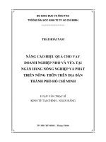 Nâng cao hiệu quả cho vay doanh nghiệp nhỏ và vừa tại ngân hàng nông nghiệp và phát triển nông thôn trên địa bàn Thành phố Hồ chí Minh